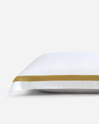 Bamboo Viscose Frame Euro Sham | Last Chance
